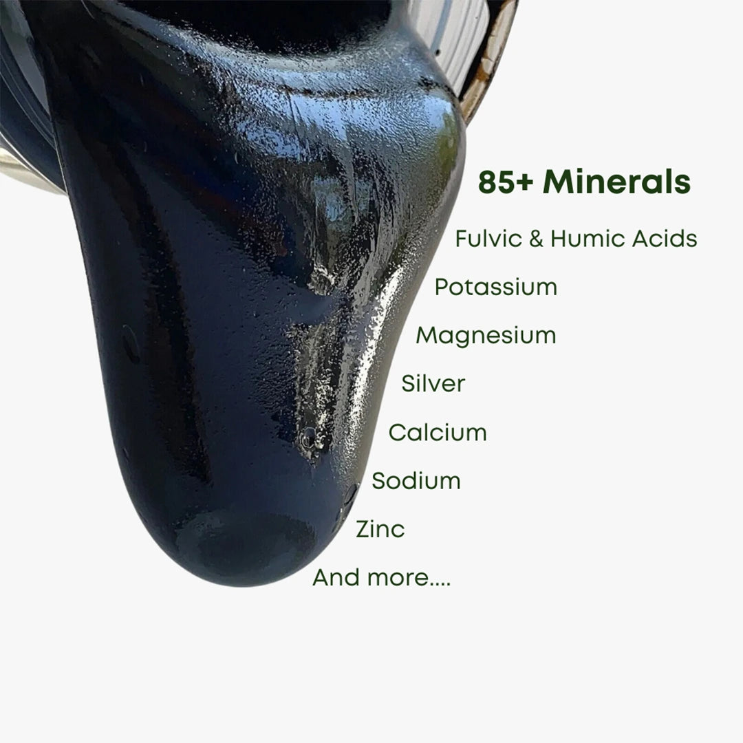 شيلاجيت طبيعي نقي