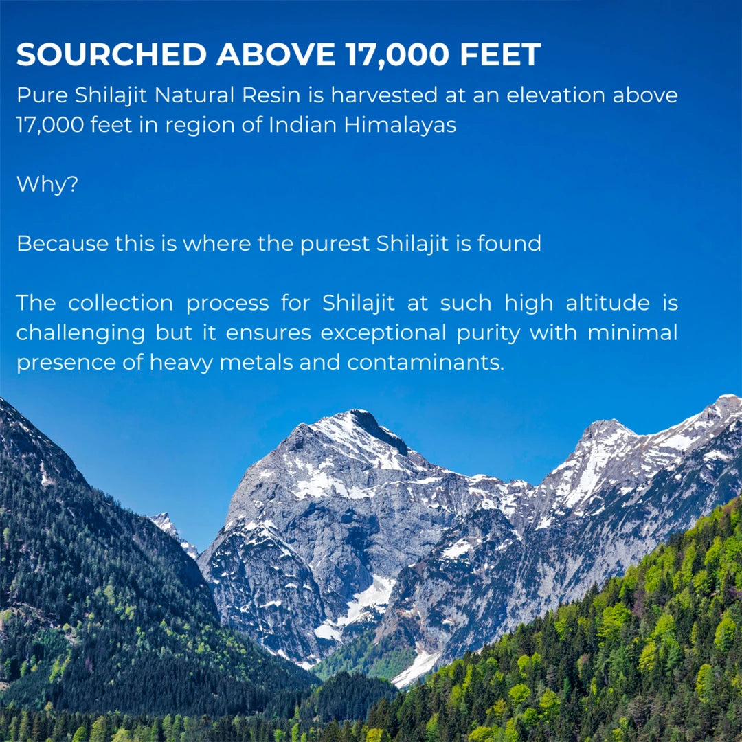 شيلاجيت طبيعي نقي